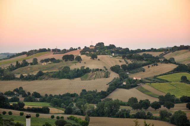 min 2010 08 01 ostra 100